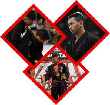Jiu jitsu / Grappling